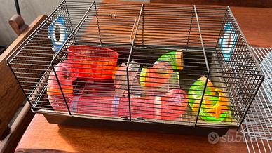 Gabbia criceti-  piccoli roditori