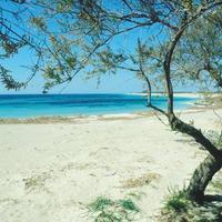 Accogliente appartamento a pochi mt dal mare