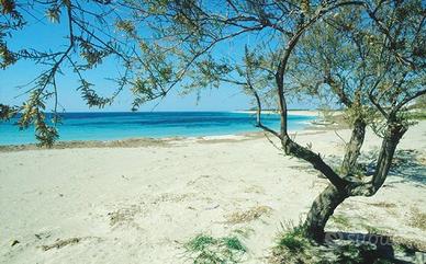 Accogliente appartamento a pochi mt dal mare