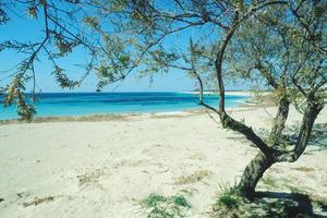 Accogliente appartamento a pochi mt dal mare