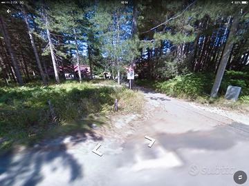 Sila piccola Ruggiolino Terreno edif. 1.120 mq