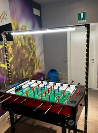 Calciobalilla professionale