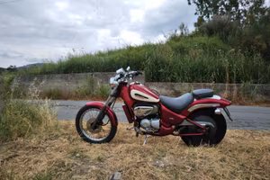 Aprilia red rose classic 50