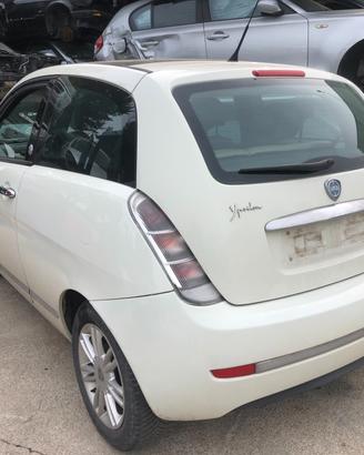LANCIA Y ANNO 2010