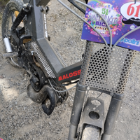 Proto monferraglia