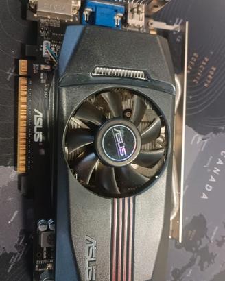 Asus ENGTX550 TI DC/DI/1GD5 Scheda video