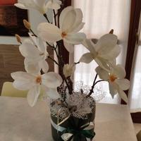 Magnolia con vaso 