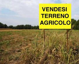 Terreno agricolo