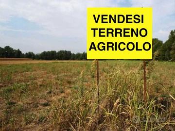 Terreno agricolo