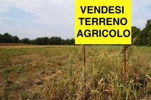 Terreno agricolo
