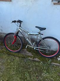 Bicicletta da bambino/ragazzo