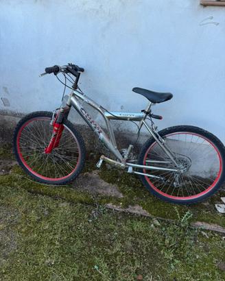 Bicicletta da bambino/ragazzo