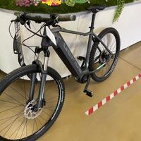 Bicicletta E-BIKE RUGA PRO29