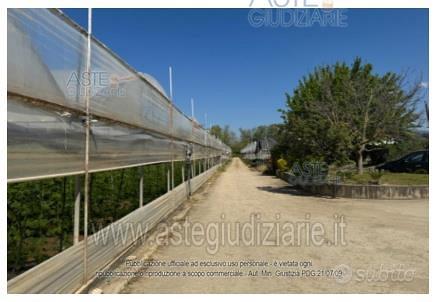 Terreno Agricolo Castelnuovo Cilento [A4355490] - Vista 3