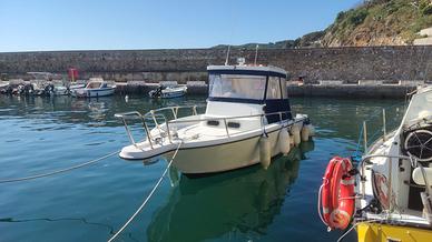 Barca da pesca Zaniboni 27 Bluetime