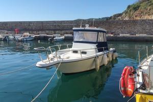 Barca da pesca Zaniboni 27 Bluetime