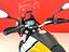 Immagine 26