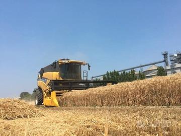 Mietitrebbia New Holland cx 740