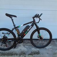 Bicicletta elettrica