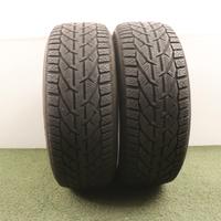 Gomme Riken Snow 225 55 17 inverno