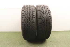 Gomme Riken Snow 225 55 17 inverno