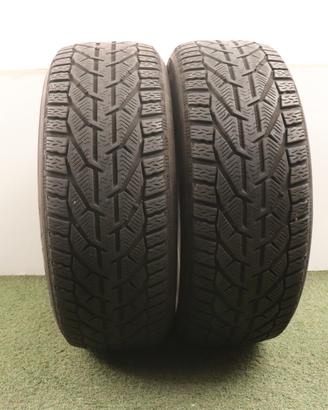 Gomme Riken Snow 225 55 17 inverno