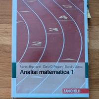 analisi matematica 1 - Bramanti pagani salsa 