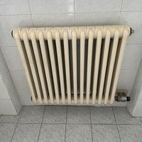 Termosifoni acciaio inox