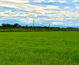 Terreno per Allevamento - 19.000 mq