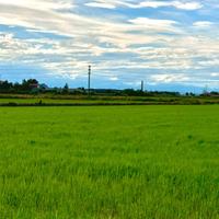 Terreno per Allevamento - 19.000 mq