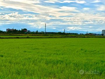 Terreno per Allevamento - 19.000 mq