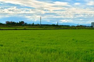 Terreno per Allevamento - 19.000 mq