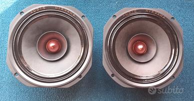 Coppia Fullrange DA 20cm AUDIO NIRVANA,  HI-END