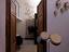Immagine 8