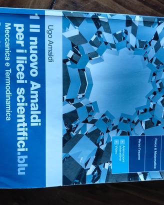 IL NUOVO AMALFI PER I LICEI SCIENTIFICI.BLU 1