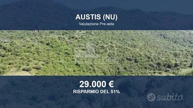 Immobile in asta di 117560 m² a Austis