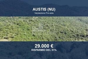 Immobile in asta di 117560 m² a Austis