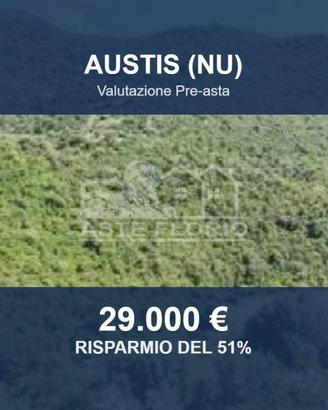 Immobile in asta di 117560 m² a Austis