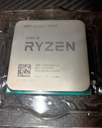 processore amd ryzen 5 4600g con scheda video