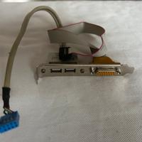 Scheda porte USB