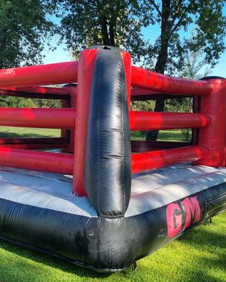 GONFIABILE BOXE / WRESTLING