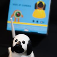 Telecamere da interno Wi Fi