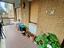 Immagine 29