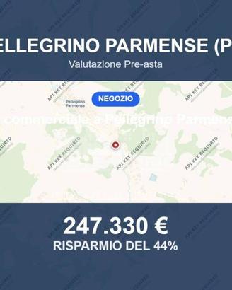 Immobile in asta di 1230 m² a Pellegrino Parmense