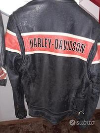 Giubbino in pelle Harley Davidson originale