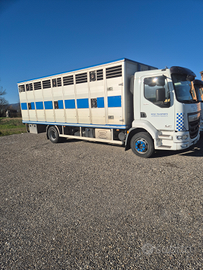 Trasporto bestiame animali vivi