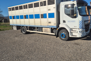 Trasporto bestiame animali vivi