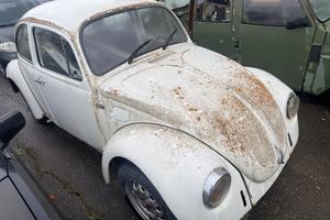 Volkswagen Maggiolino