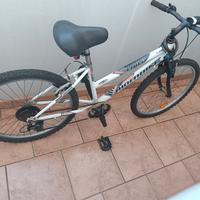 MTB ridebike ld04