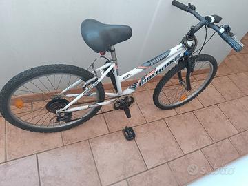MTB ridebike ld04